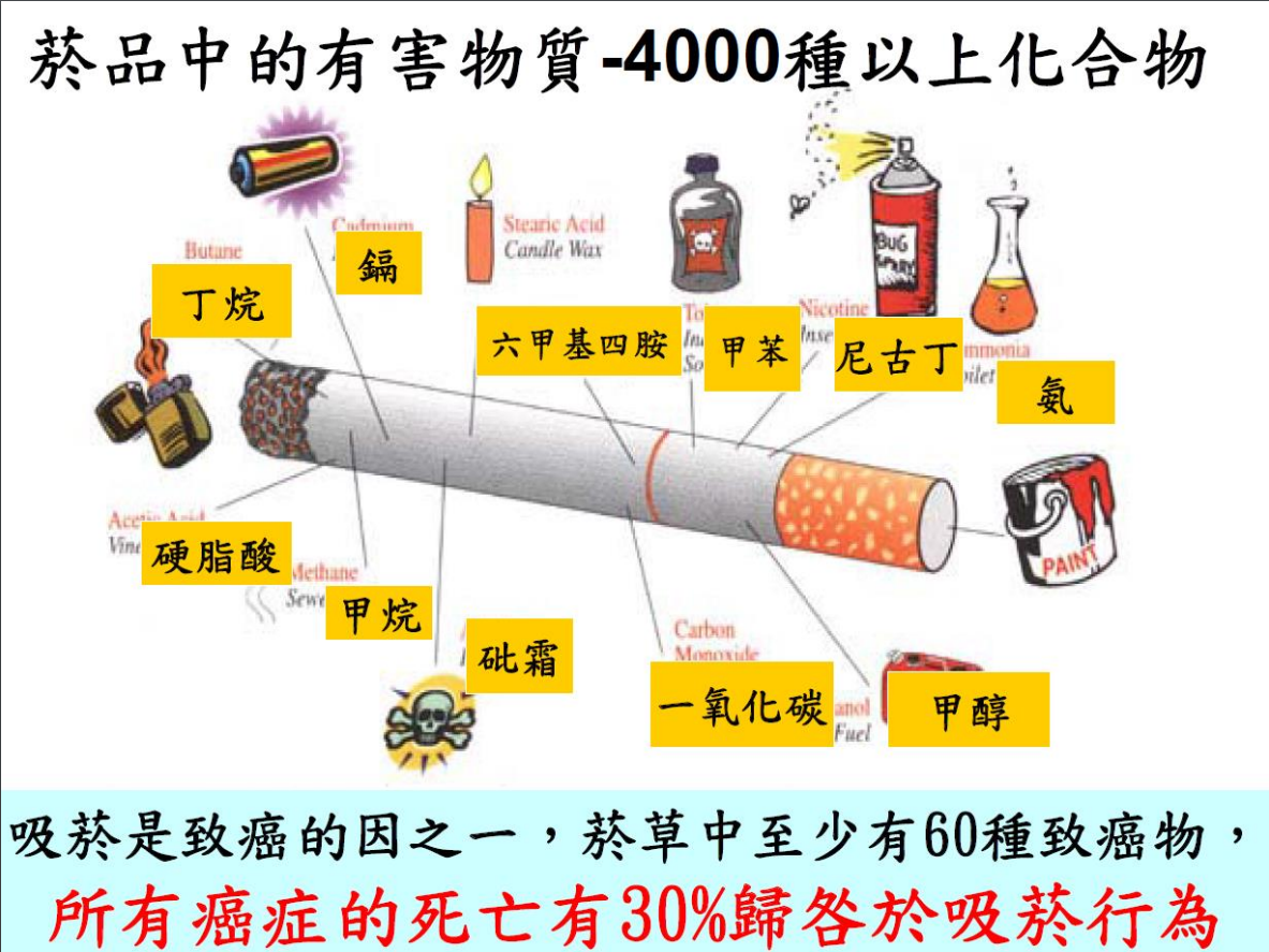 菸害衛教宣導圖片