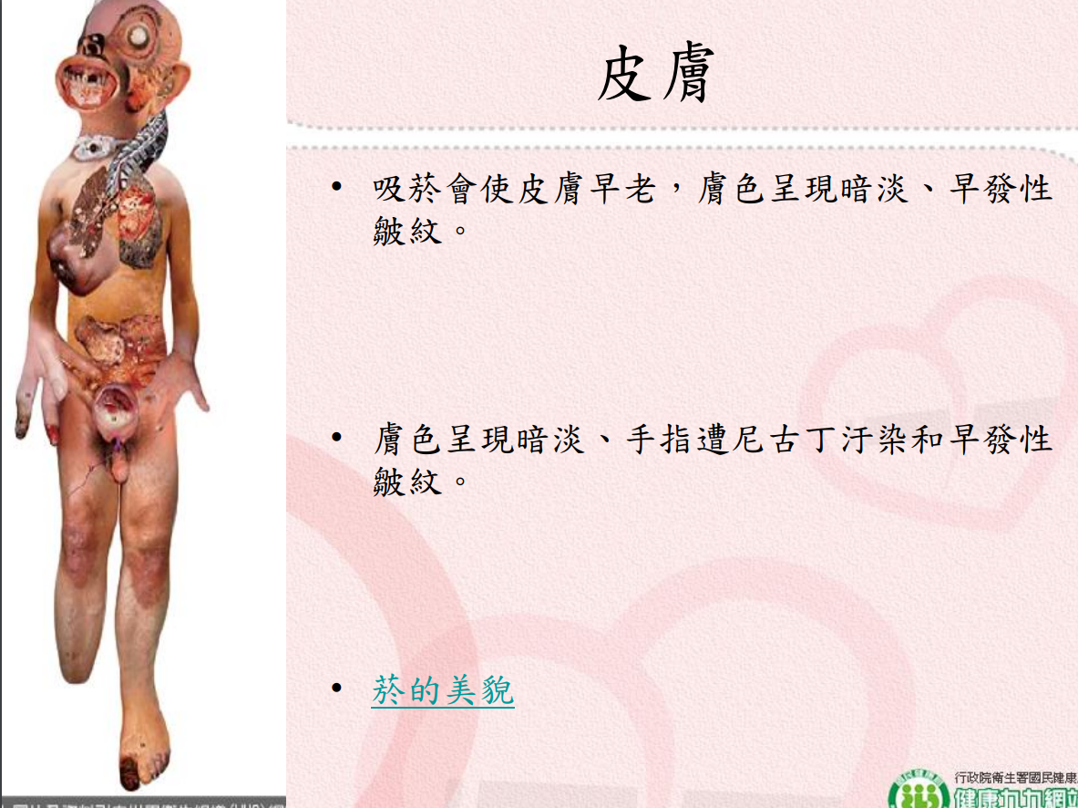 菸害衛教宣導圖片