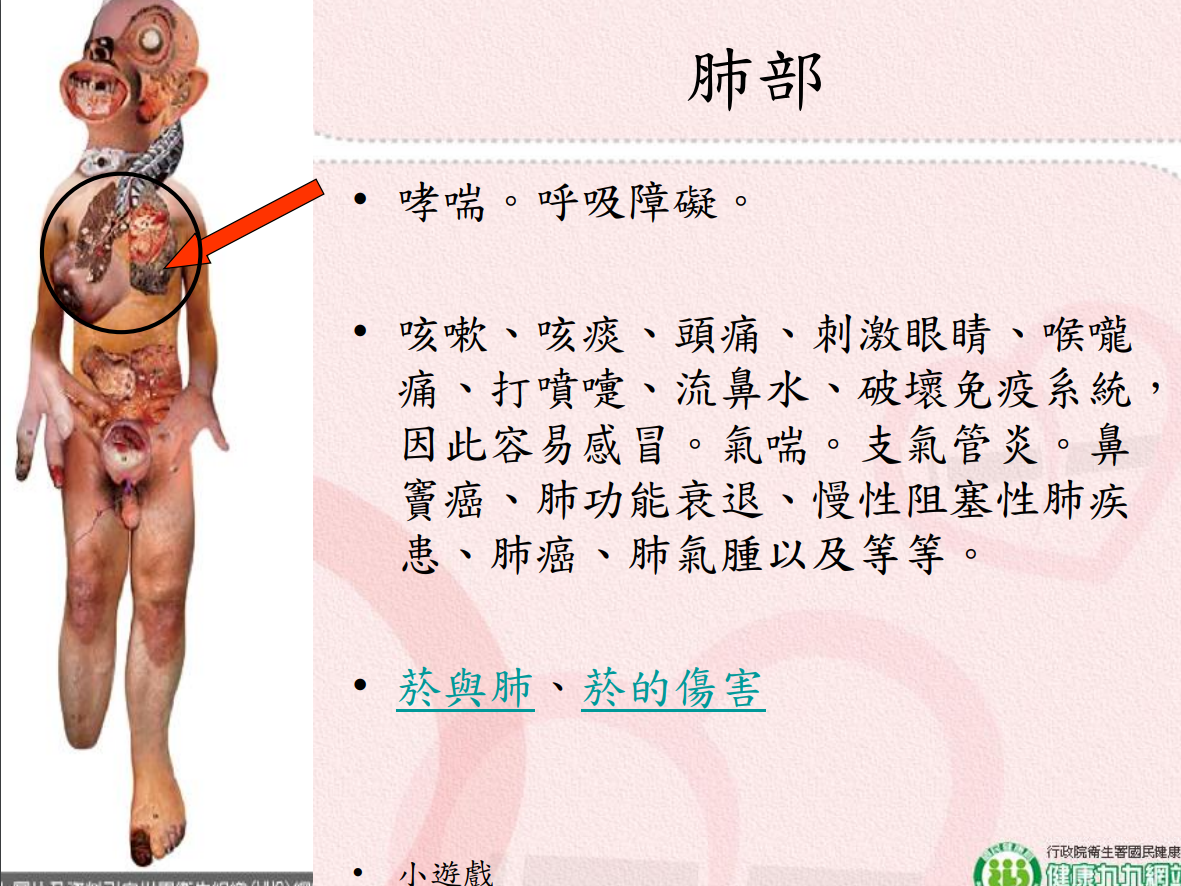 菸害衛教宣導圖片