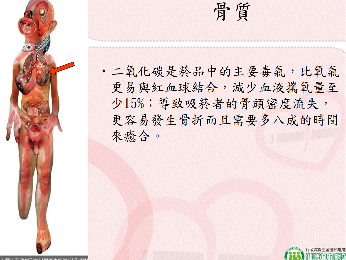 菸害衛教宣導圖片