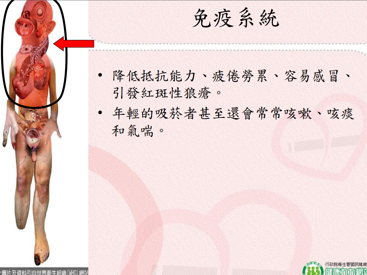 菸害衛教宣導圖片
