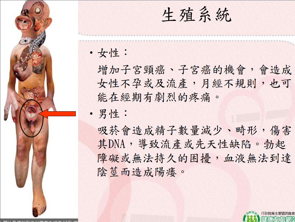 菸害衛教宣導圖片