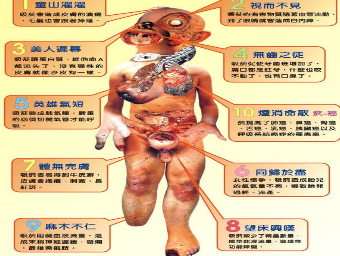 菸害衛教宣導圖片