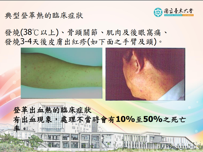 登革熱簡介及防疫圖片