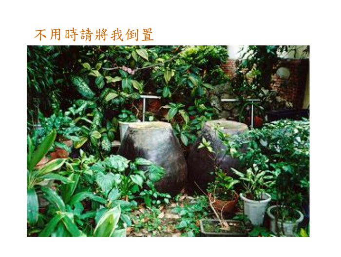 登革熱簡介及防疫圖片