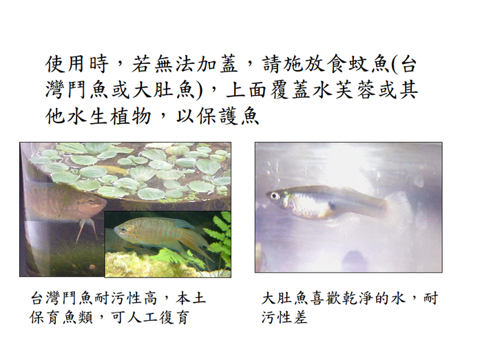 登革熱簡介及防疫圖片