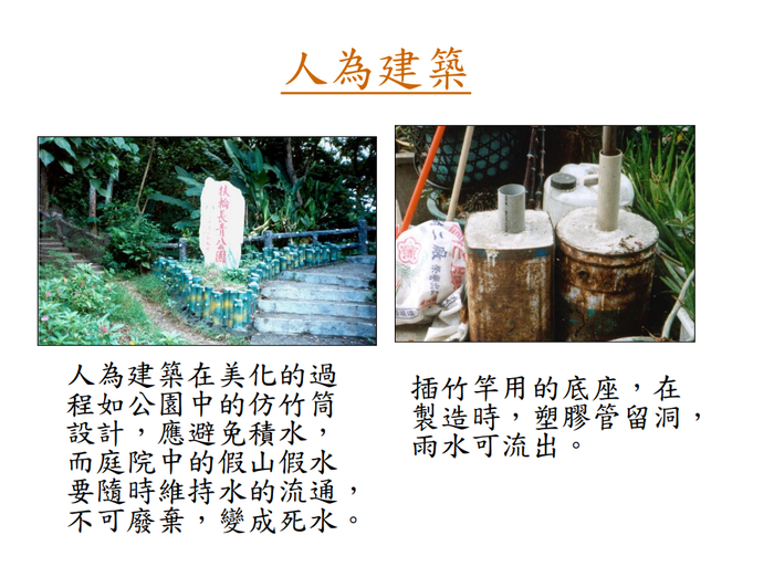 登革熱簡介及防疫圖片