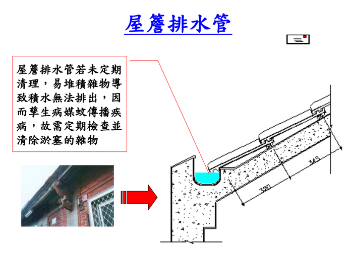 登革熱簡介及防疫圖片