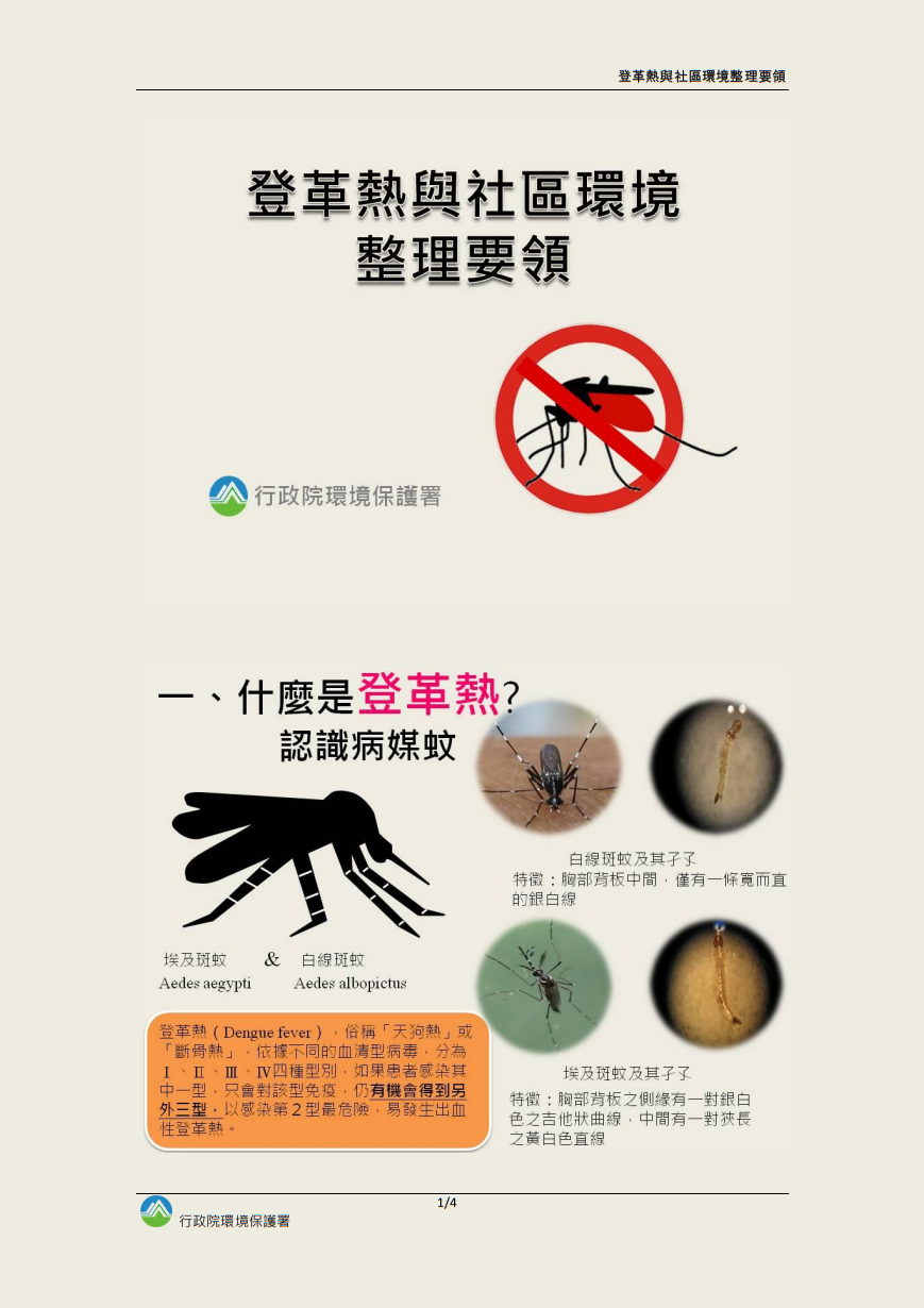 登革熱與環境整理要領圖片